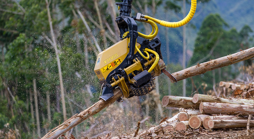 未標題-1.jpg 未標題-1.jpg