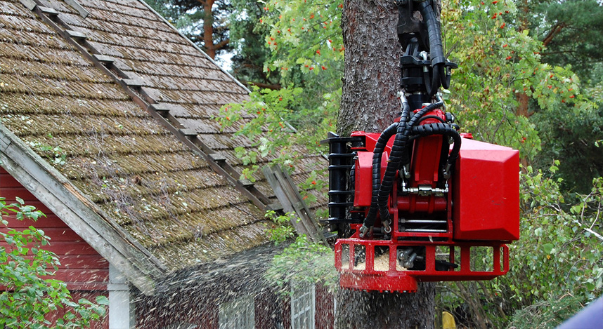 未標題-1.jpg 未標題-1.jpg